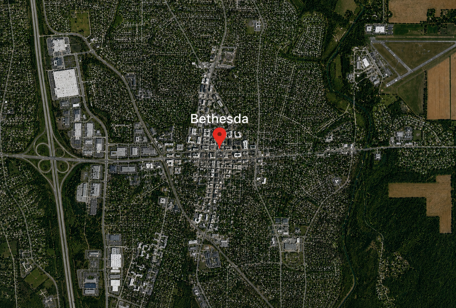 IT Services in Bethesda
